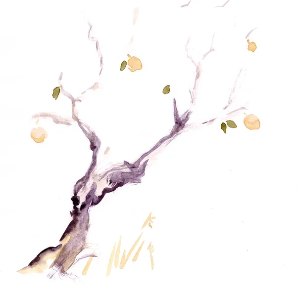 Apple-sonbahar ağacında — Stok fotoğraf