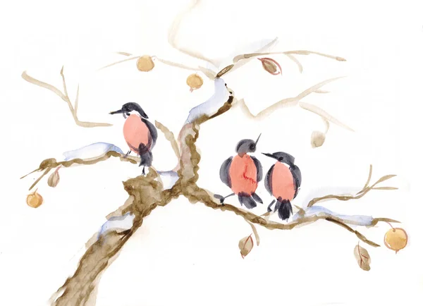 Bullfinches dalı
