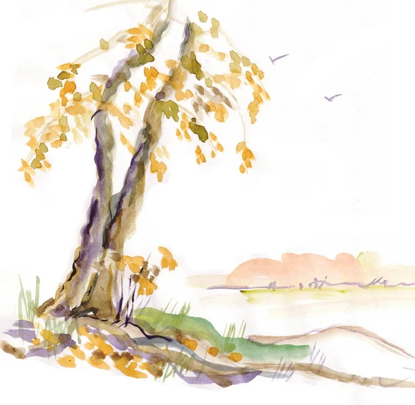 Ensamt träd på hösten — Stockfoto