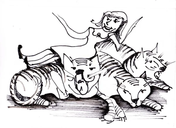 训练师和三只老虎 — 图库照片