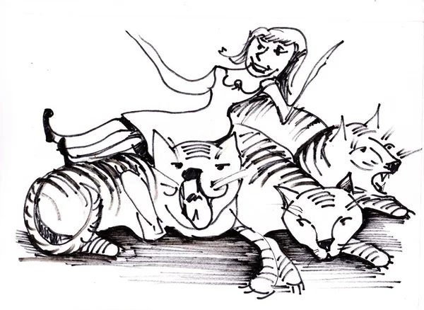 trainer and three tigers