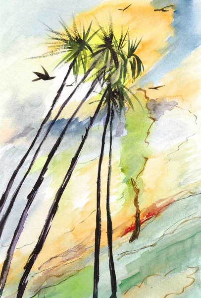 Palmy w słoneczny dzień — Zdjęcie stockowe