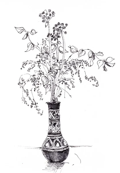 Bouquet di piante secche — Foto Stock