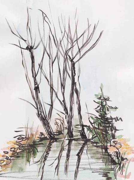 Göl kenarındaki ağaçlar — Stok fotoğraf