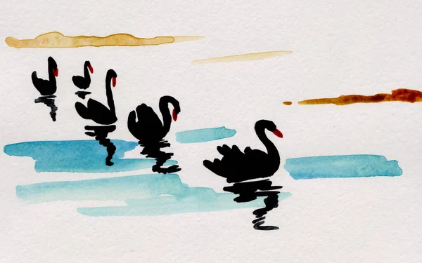 Bandada Cisnes Negros Flotando Las Olas Del Lago —  Fotos de Stock