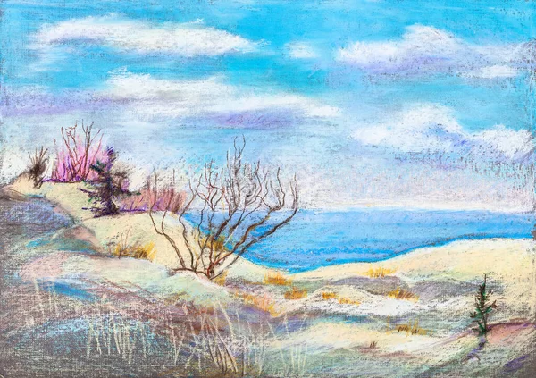 Dunes Coast Sunny March Day Curonian Spit — Stock Photo, Image