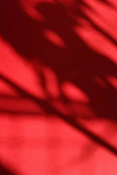 Abstrakte Kunst, botanische Schatten auf rotem Hintergrund zum Beispiel — Stockfoto