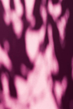 Soyut sanat, pembe arka planda botanik gölgeler