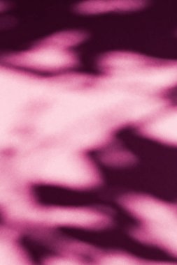 Soyut sanat, pembe arka planda botanik gölgeler