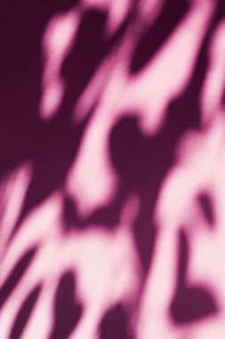 Soyut sanat, pembe arka planda botanik gölgeler