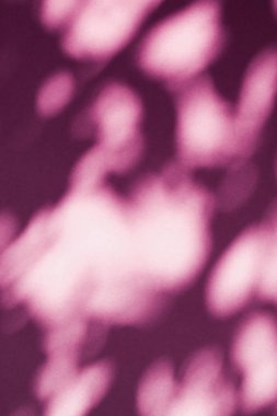 Soyut sanat, pembe arka planda botanik gölgeler