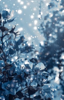 Noel, Yeni Yıl Mavi Çiçek Özgeçmişi, Noel kartı