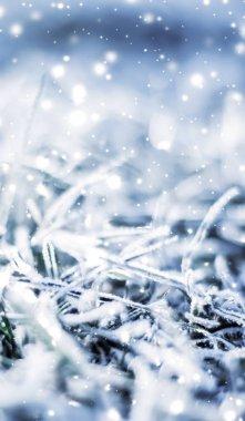 Kış tatili arka plan, parlak kar ve Co ile doğa manzarası