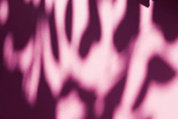 Abstract art, botanical shadows overlay on blush pink background