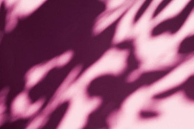 Soyut sanat, pembe arka planda botanik gölgeler