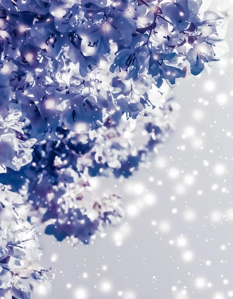 크리스마스, 새해 보라색 꽃 배경, 휴일 카 — 스톡 사진