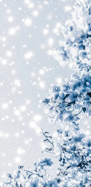 Χριστούγεννα, Πρωτοχρονιά μπλε floral φύση φόντο, κάρτα διακοπών — Φωτογραφία Αρχείου