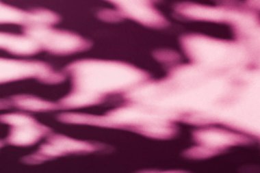 Soyut sanat, pembe arka planda botanik gölgeler