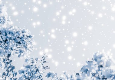 Noel, Yeni Yıl Mavi Çiçek Özgeçmişi, Noel kartı