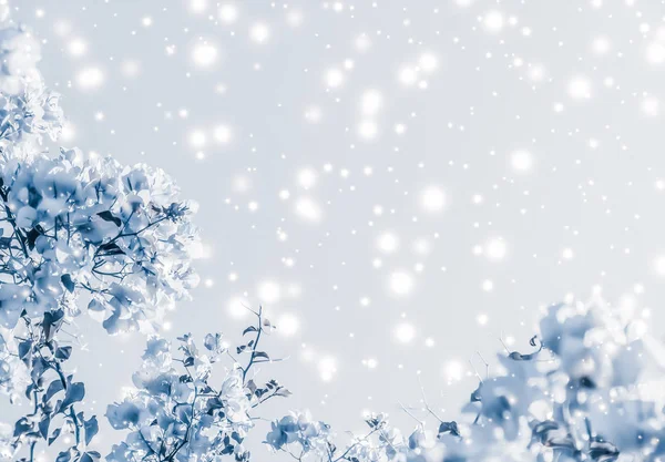 圣诞，新年蓝花自然背景，节日卡片 — 图库照片