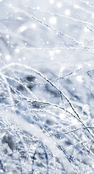 Fondo de vacaciones de invierno, paisaje natural con nieve brillante y co — Foto de Stock