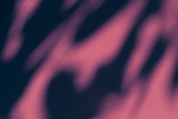 추상적 인 예술 , H 를 분홍색 배경으로 하는 식물학적 그림자 — 스톡 사진