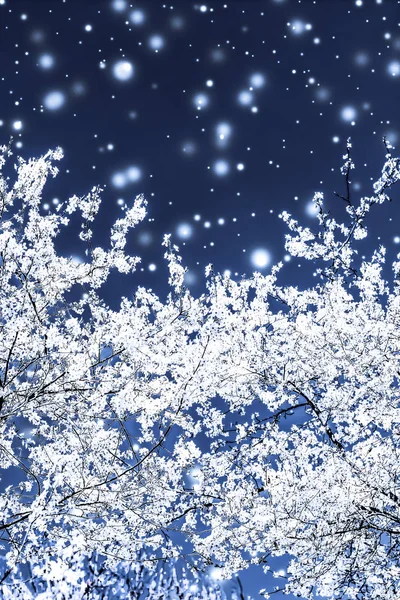 Χριστούγεννα, Πρωτοχρονιά μπλε floral φόντο, διακόσμηση καρτών διακοπών — Φωτογραφία Αρχείου