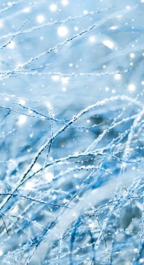 Kış tatili arka plan, parlak kar ve Co ile doğa manzarası