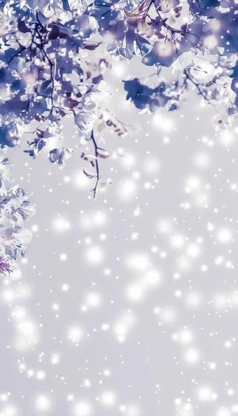 Christmas, New Years purple floral nature background, holiday ca — Stock Photo, Image