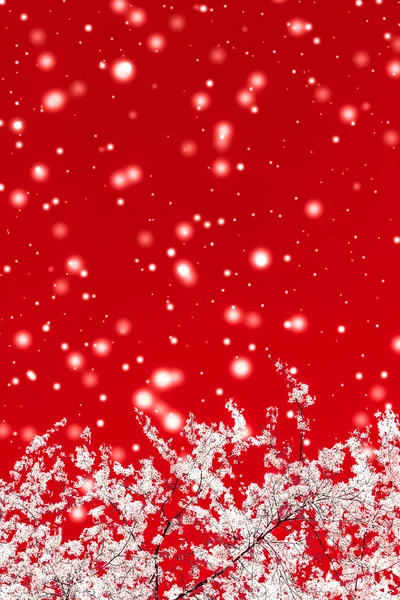 Boże Narodzenie, Nowy Rok czerwone tło kwiatowe, projekt karty wakacje, — Zdjęcie stockowe