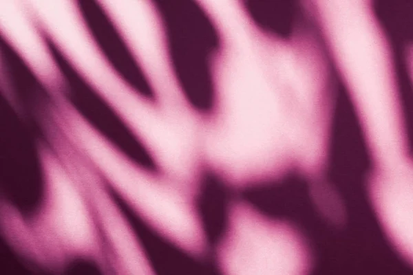 Arte abstrata, sombras botânicas sobreposição no fundo rosa blush — Fotografia de Stock