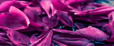 Soyut çiçek arka plan, suda Mor çiçek yaprakları