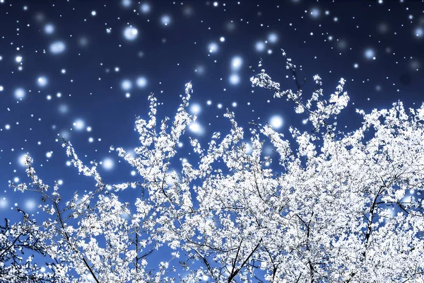 ख्रिसमस, नवीन वर्ष निळा फुलांचा पार्श्वभूमी, सुट्टी कार्ड डिझाइन — स्टॉक फोटो, इमेज