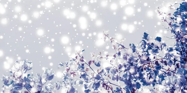 Boże Narodzenie, Nowy Rok fioletowy kwiatowy charakter tła, wakacje ca — Zdjęcie stockowe
