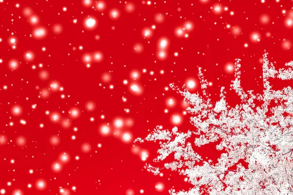 Natale, Capodanno sfondo floreale rosso, progettazione biglietto da visita , — Foto Stock