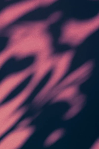Arte abstrata, sombras botânicas sobreposição em fundo rosa para h — Fotografia de Stock