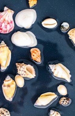 Deniz kabuğu arka plan, yaz hedef ve plaj tatil t