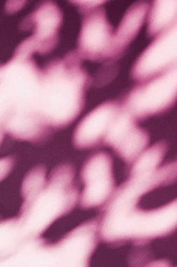 Soyut sanat, pembe arka planda botanik gölgeler