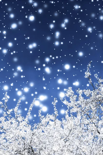Χριστούγεννα, Πρωτοχρονιά μπλε floral φόντο, διακόσμηση καρτών διακοπών — Φωτογραφία Αρχείου
