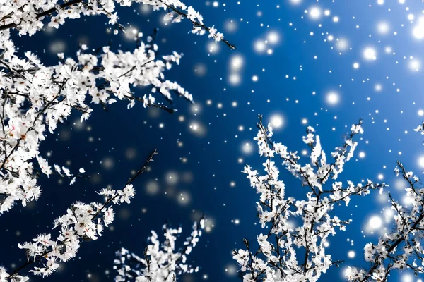 圣诞，新年蓝花背景，节日卡片设计 — 图库照片