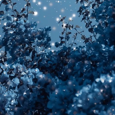 Noel, Yeni Yıl Mavi Çiçek Özgeçmişi, Noel kartı