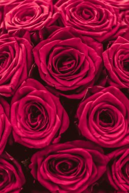 Pembe gül romantik lüks buket, flora olarak çiçek çiçek