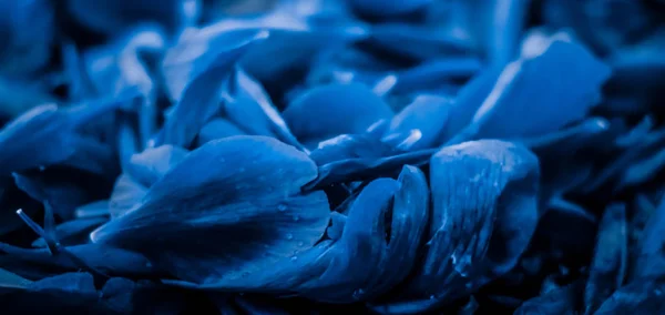 Fondo abstracto de arte floral de vacaciones, flor azul mascota — Foto de Stock