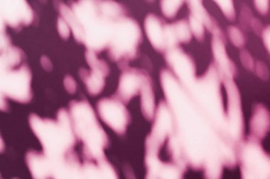 Soyut sanat, pembe arka planda botanik gölgeler
