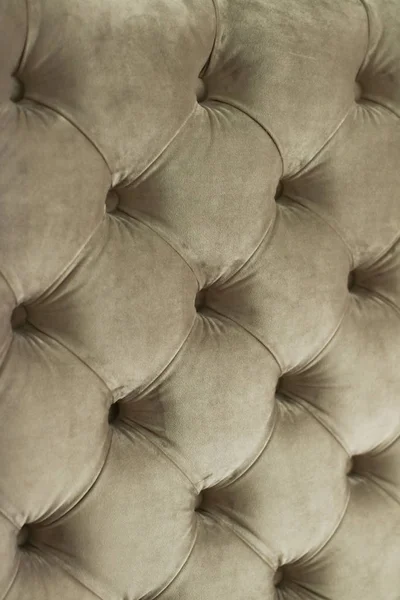 Πολυτέλεια βελούδο καπιτονέ ταπετσαρία καναπέ με κουμπιά, κομψό σπίτι — Φωτογραφία Αρχείου