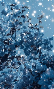 Noel, Yeni Yıl Mavi Çiçek Özgeçmişi, Noel kartı