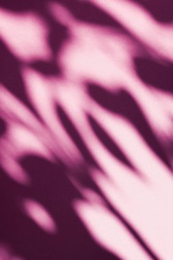 Soyut sanat, pembe arka planda botanik gölgeler