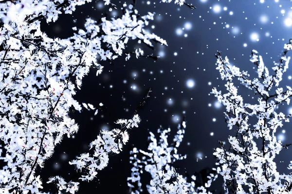 クリスマス、新年青の花の背景、休日のカードのデザイン — ストック写真