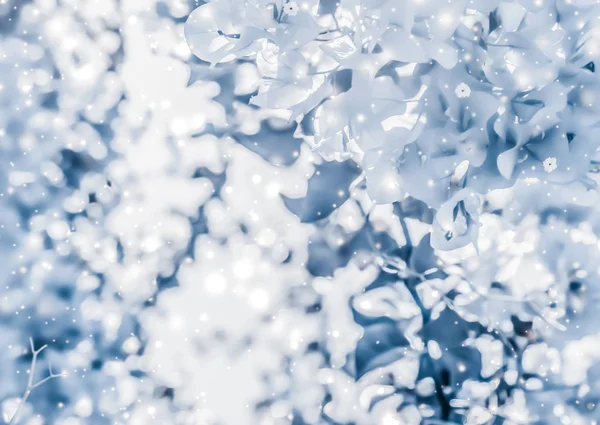 Jul, Nyår blå blommig natur bakgrund, semester kort — Stockfoto