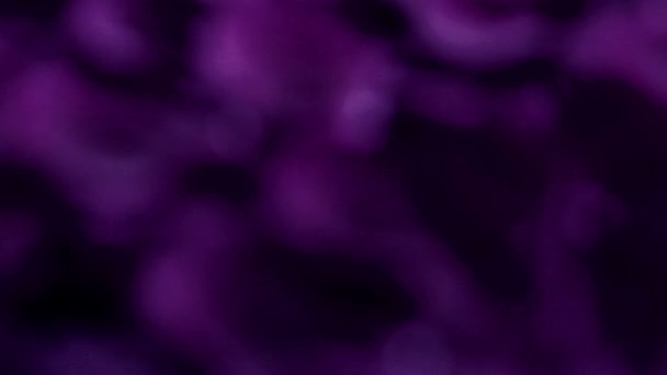 Fondo floral violeta abstracto, pétalos de flores en agua — Vídeos de Stock